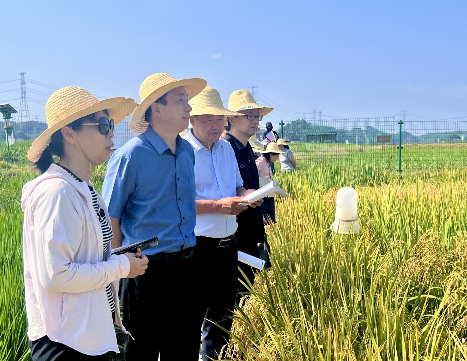 湖南省农作物种质资源库举办“田间识种保资源，科普兴农筑梦田”全国科普日活动(图2)