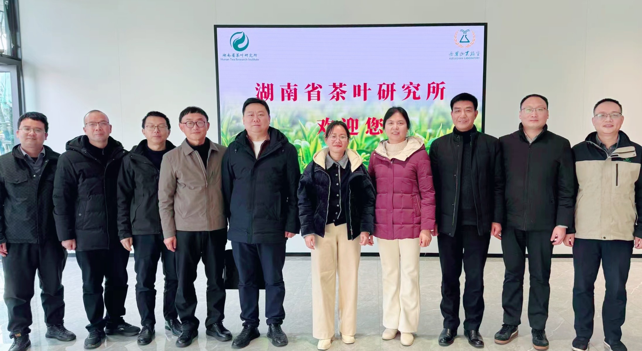 江华县农业农村局来茶叶所开展古茶树资源保护立法调研